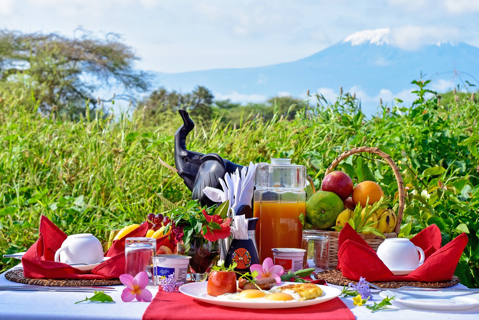 Up close image of breakfast with a view of Mount Kilimanjaro at Tulia Amboseli Safari Camp