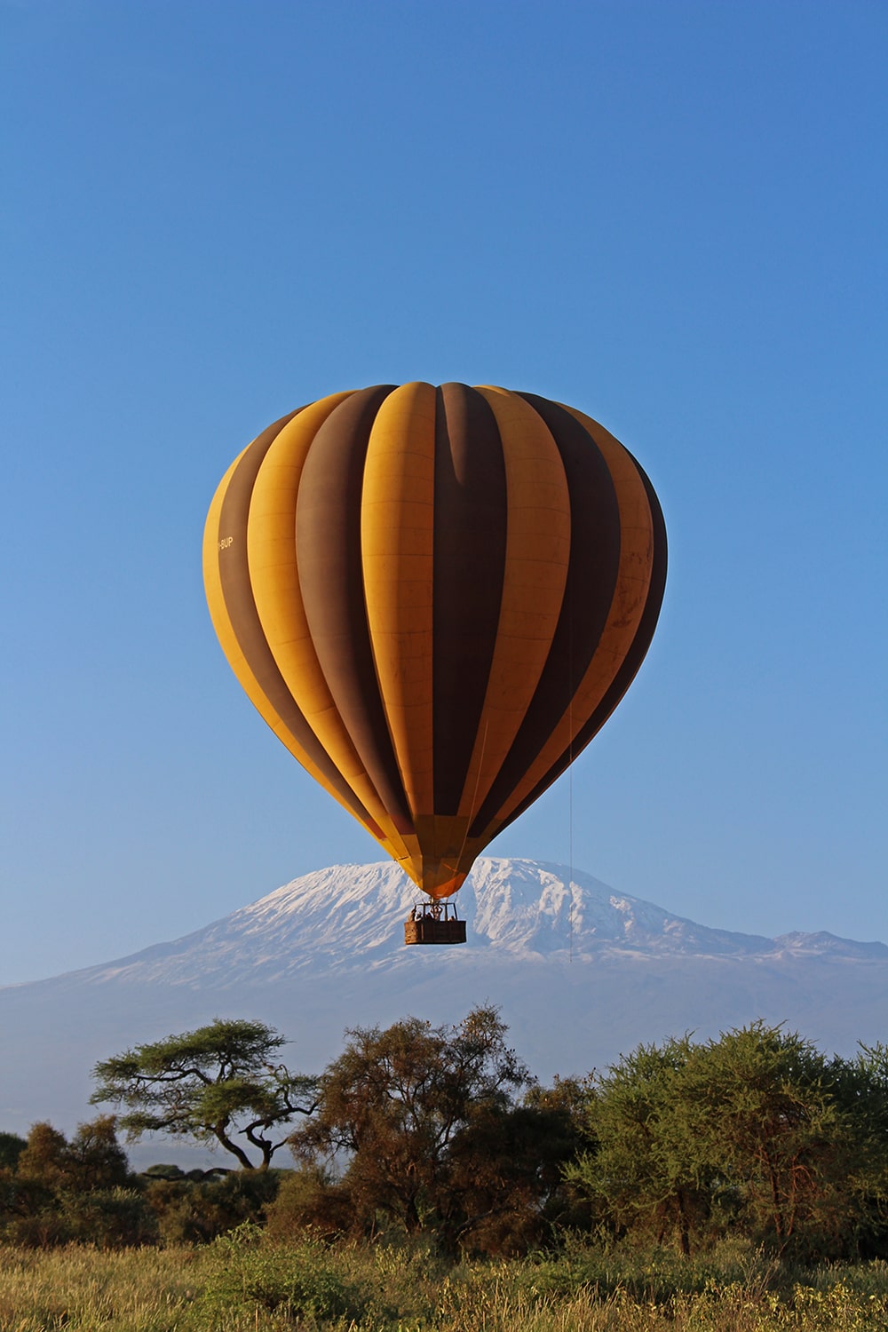 Image of a hot air balloon of a balloon safari by Kilimanjaro Balloon Safaris right in front of Mount Kilimanjaro