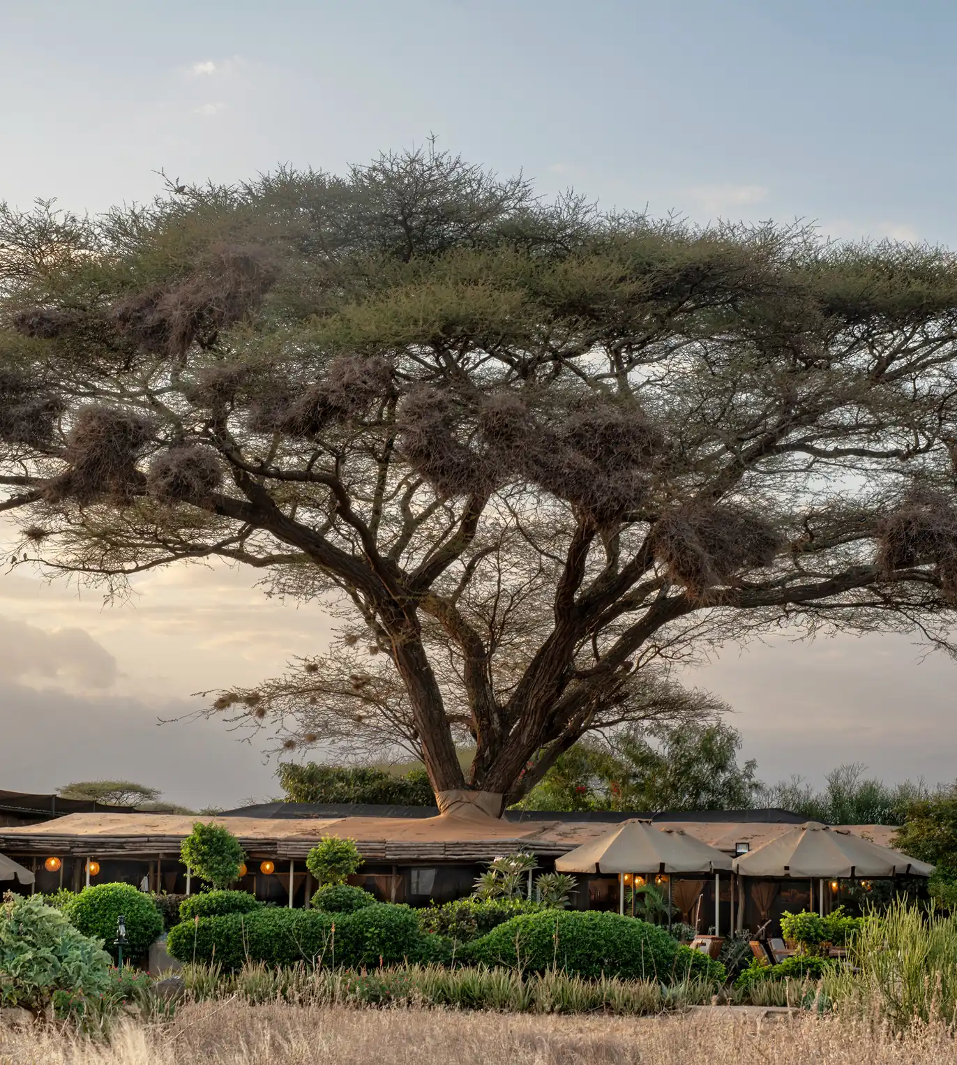 Rates, Inclusions And Exclusions