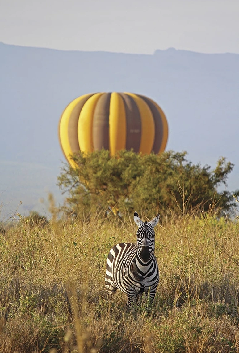 Balloon Safari